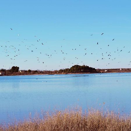 Albergue Los Patos Villafranca de los Caballeros Bagian luar foto